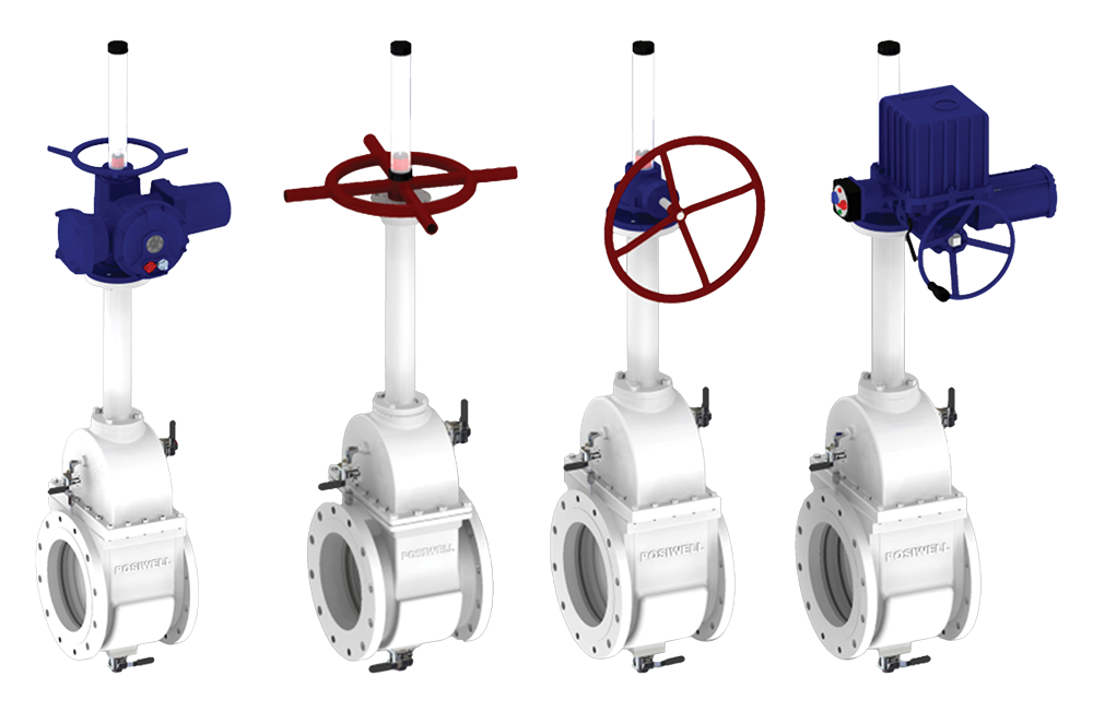 Posiwell Double Block Bleed Gate Valve - Image 3